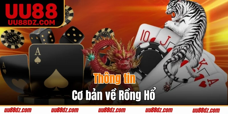 Thông tin quan trọng về game bài Rồng Hổ