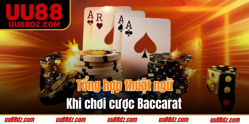 Tổng hợp thuật ngữ khi chơi cược Baccarat