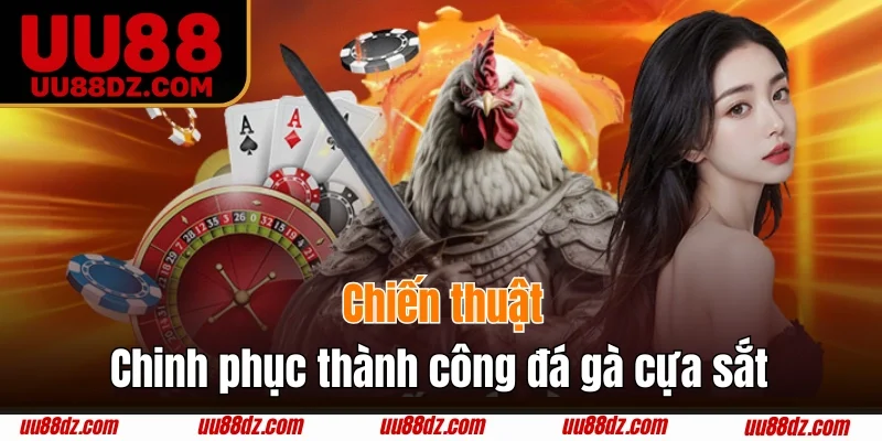 Chiến lược suy luận bắt kèo chọi kê cựa sắt