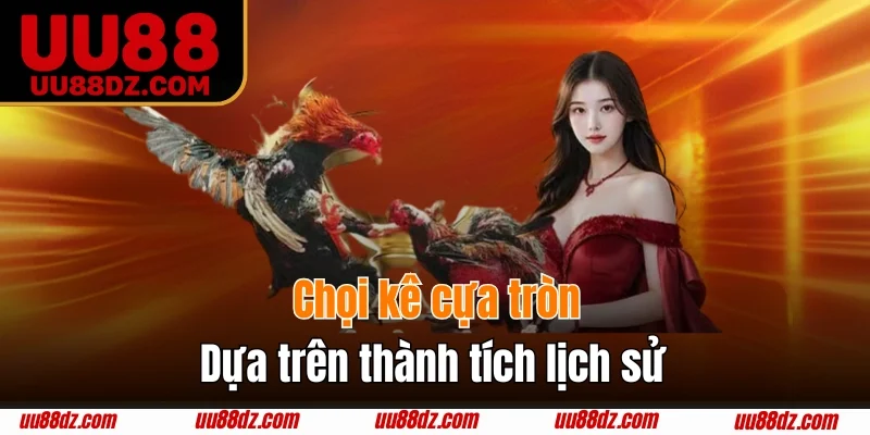 Chọi kê cựa tròn có tính sát thương cực lớn