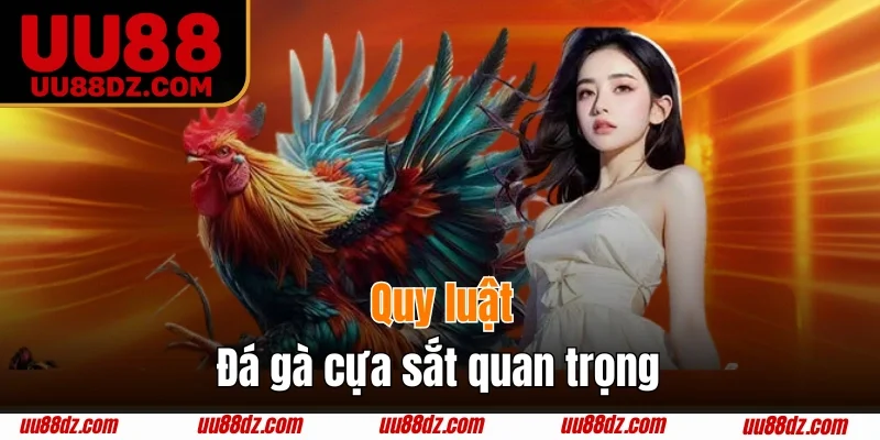 Quy tắc xét thắng thua đá gà cựa sắt
