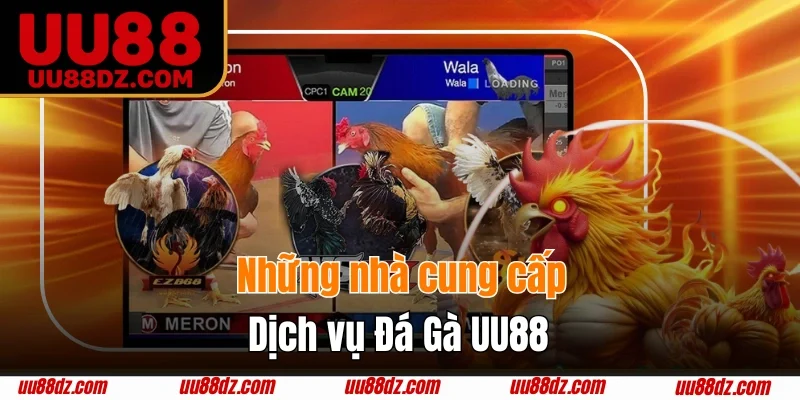 Tổng hợp những nhà phát hành chọi kê UU88 hợp tác