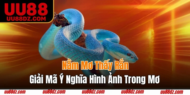 Ngủ mơ thấy rắn