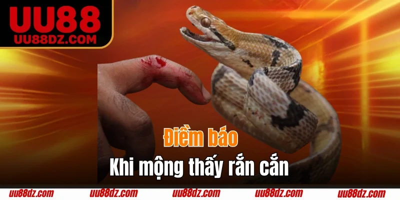 Điềm báo khi mộng thấy rắn cắn 