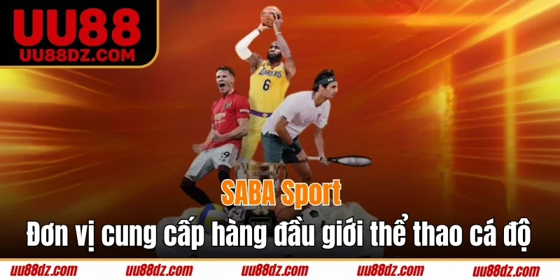 SABA Sport - Đơn vị cung cấp hàng đầu giới thể thao cá độ