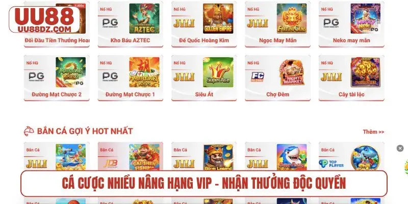 Cá cược nhiều nâng hạng vip - nhận thưởng độc quyền